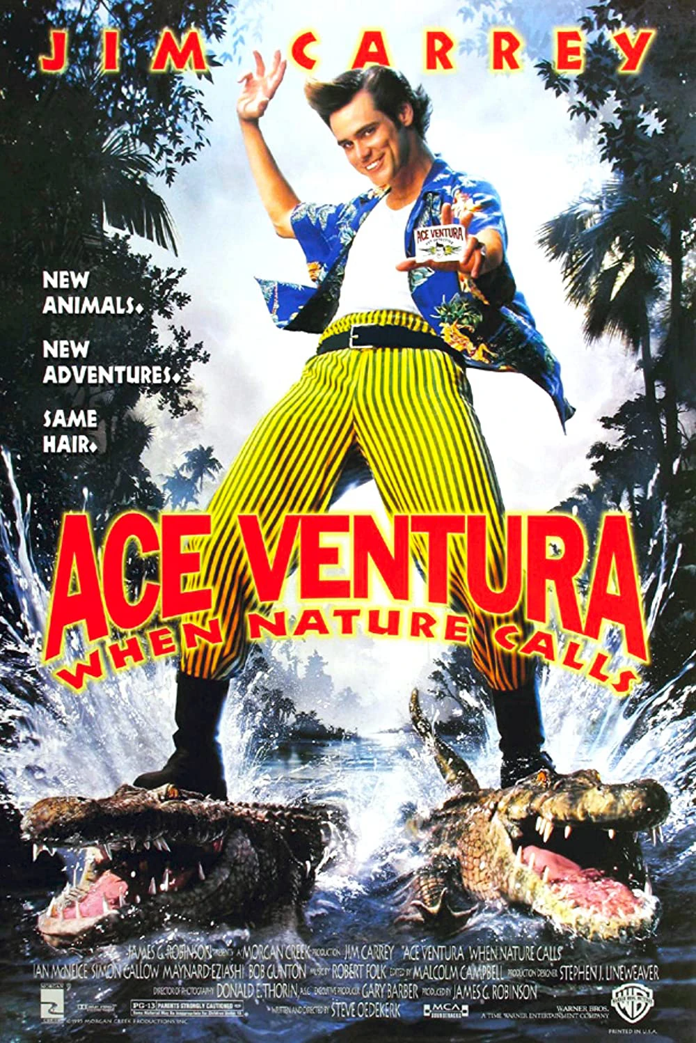 Phim Ace Ventura: Thiên nhiên vẫy gọi - Ace Ventura: When Nature Calls (1995)