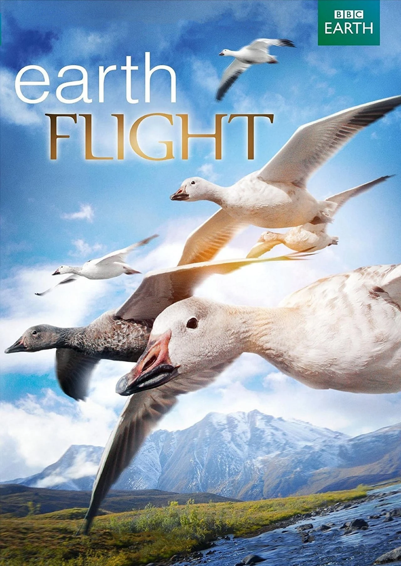 Phim Earthflight - Earthflight (2011)