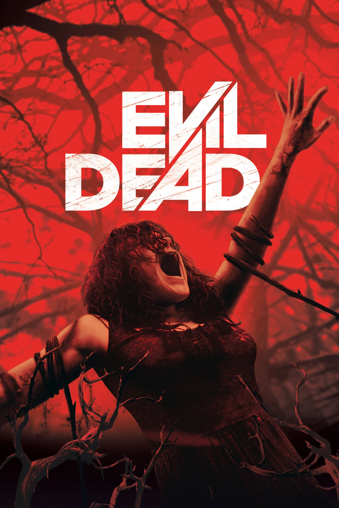 Phim Evil Dead - Evil Dead (2013)