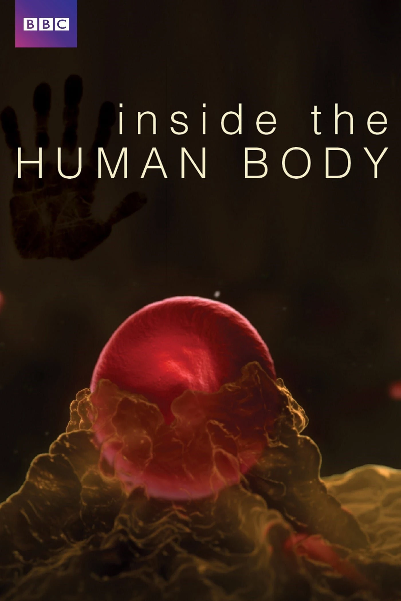 Phim Inside the Human Body - Inside the Human Body (2011)