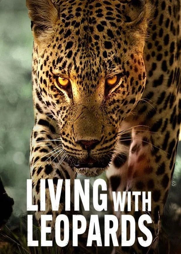 Phim Sống cùng báo hoa - Living with Leopards (2024)