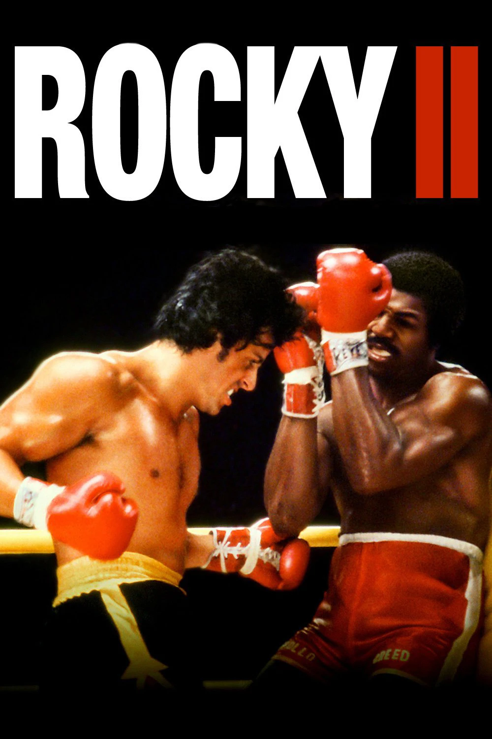 Phim Tay Đấm Huyền Thoại 2 - Rocky II (1979)