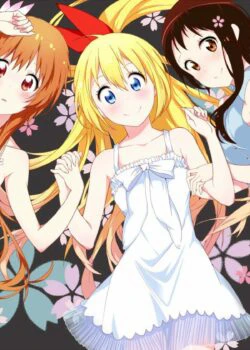 Phim Tình Yêu Ngang Trái - NiseKoi (2013)