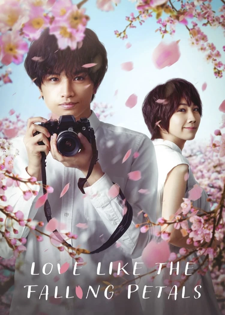 Phim Tình yêu như cánh hoa rơi - Love Like the Falling Petals (2022)